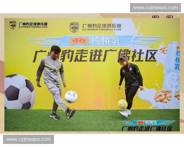 世界杯观众视角下足球盛宴体验与全球热情互动新观察